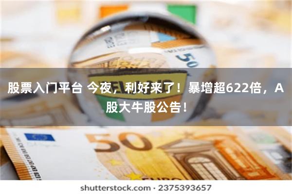 股票入门平台 今夜，利好来了！暴增超622倍，A股大牛股公告！