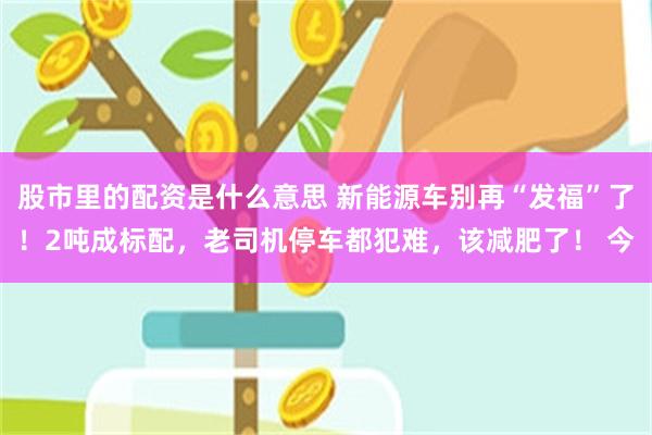 股市里的配资是什么意思 新能源车别再“发福”了！2吨成标配，老司机停车都犯难，该减肥了！ 今