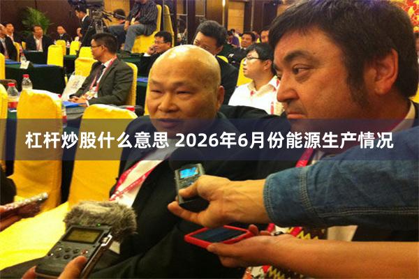 杠杆炒股什么意思 2026年6月份能源生产情况