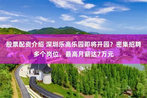 股票配资介绍 深圳乐高乐园即将开园？密集招聘多个岗位，最高月薪达7万元