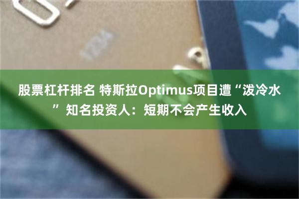 股票杠杆排名 特斯拉Optimus项目遭“泼冷水” 知名投资人：短期不会产生收入
