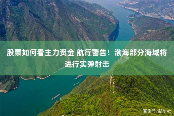 股票如何看主力资金 航行警告！渤海部分海域将进行实弹射击