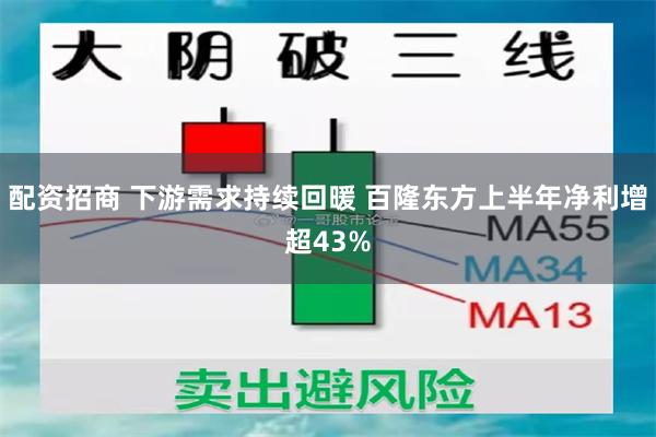 配资招商 下游需求持续回暖 百隆东方上半年净利增超43%