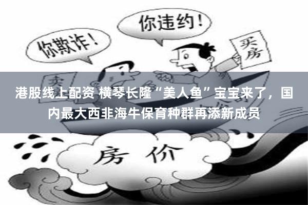 港股线上配资 横琴长隆“美人鱼”宝宝来了，国内最大西非海牛保育种群再添新成员