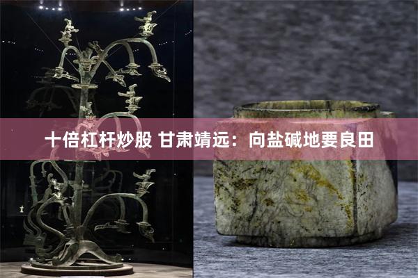 十倍杠杆炒股 甘肃靖远：向盐碱地要良田