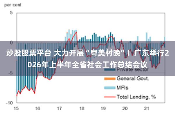 炒股股票平台 大力开展“粤美村晚”！广东举行2026年上半年全省社会工作总结会议
