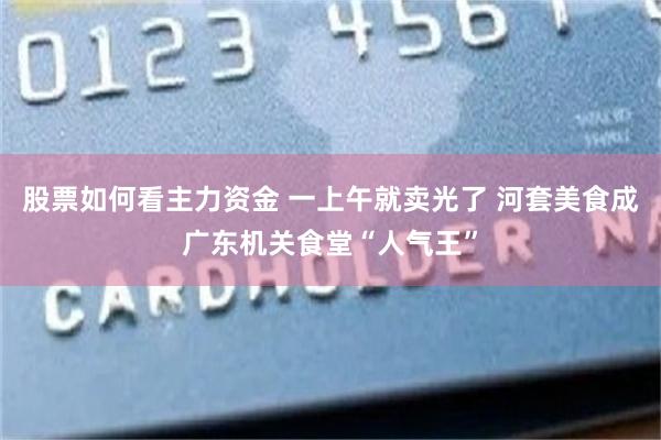 股票如何看主力资金 一上午就卖光了 河套美食成广东机关食堂“人气王”