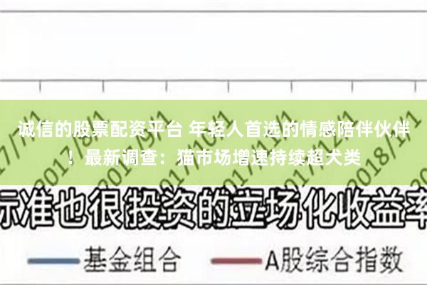 诚信的股票配资平台 年轻人首选的情感陪伴伙伴！最新调查：猫市场增速持续超犬类