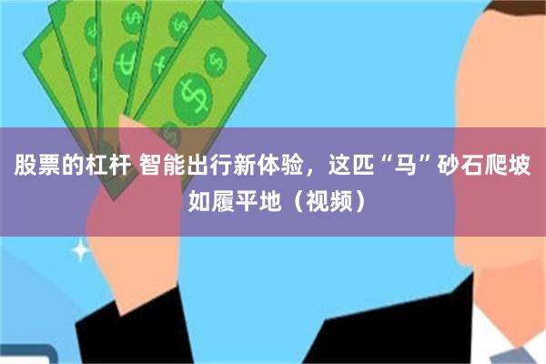 股票的杠杆 智能出行新体验，这匹“马”砂石爬坡 如履平地（视频）