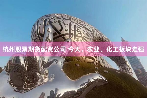 杭州股票期货配资公司 今天，农业、化工板块走强