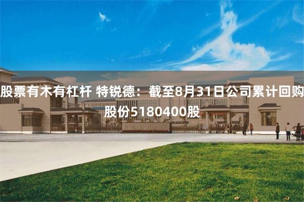 股票有木有杠杆 特锐德：截至8月31日公司累计回购股份5180400股