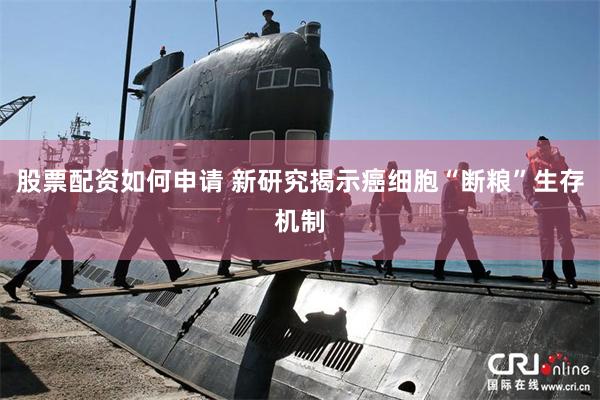 股票配资如何申请 新研究揭示癌细胞“断粮”生存机制