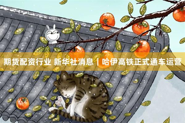 期货配资行业 新华社消息｜哈伊高铁正式通车运营