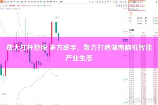 放大杠杆炒股 多方联手,聚力打造湖南脑机智能产业生态
