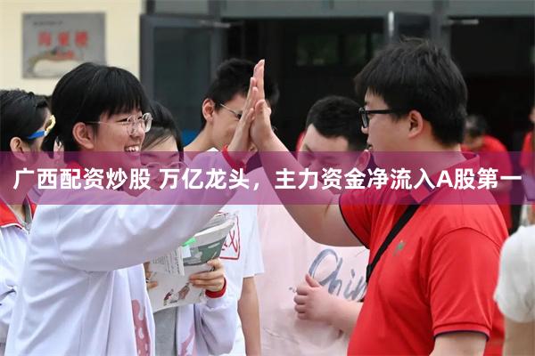 广西配资炒股 万亿龙头，主力资金净流入A股第一
