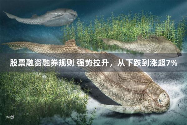 股票融资融券规则 强势拉升，从下跌到涨超7%