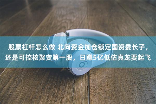 股票杠杆怎么做 北向资金加仓锁定国资委长子，还是可控核聚变第一股，日赚5亿低估真龙要起飞