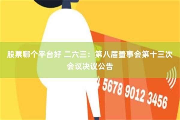 股票哪个平台好 二六三:第八届董事会第十三次会议决议公告