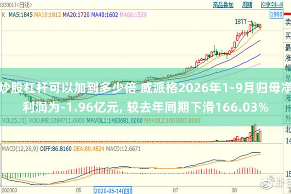 炒股杠杆可以加到多少倍 威派格2026年1-9月归母净利润为-1.96亿元, 较去年同期下滑166.03%